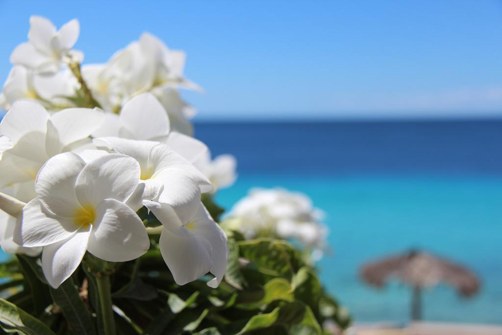 Bonaire Apartment كراليندايك المظهر الخارجي الصورة